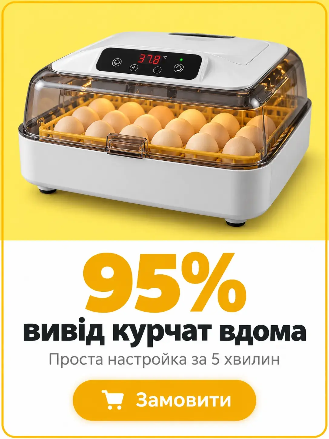 Банер